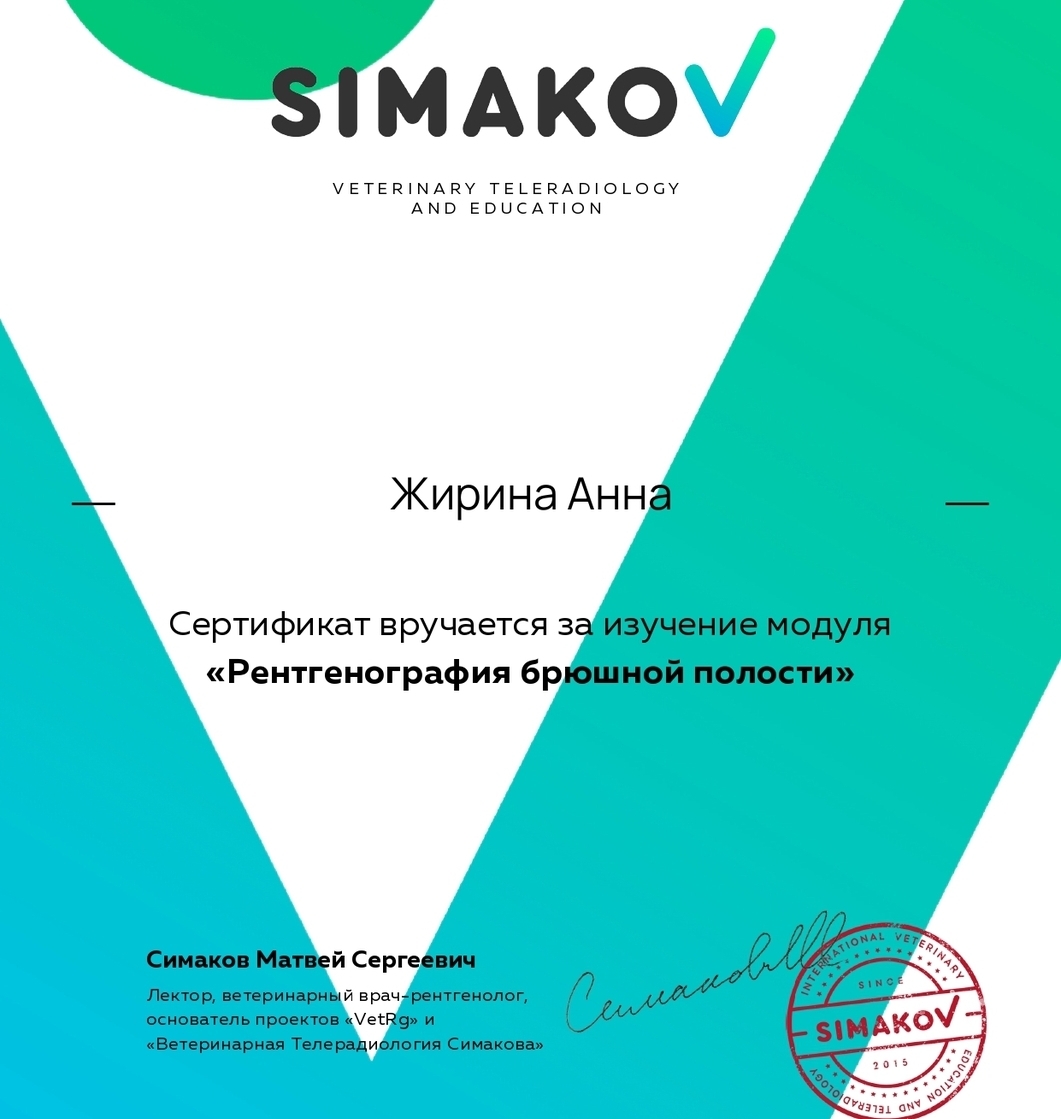 Рентгенография брюшной полости