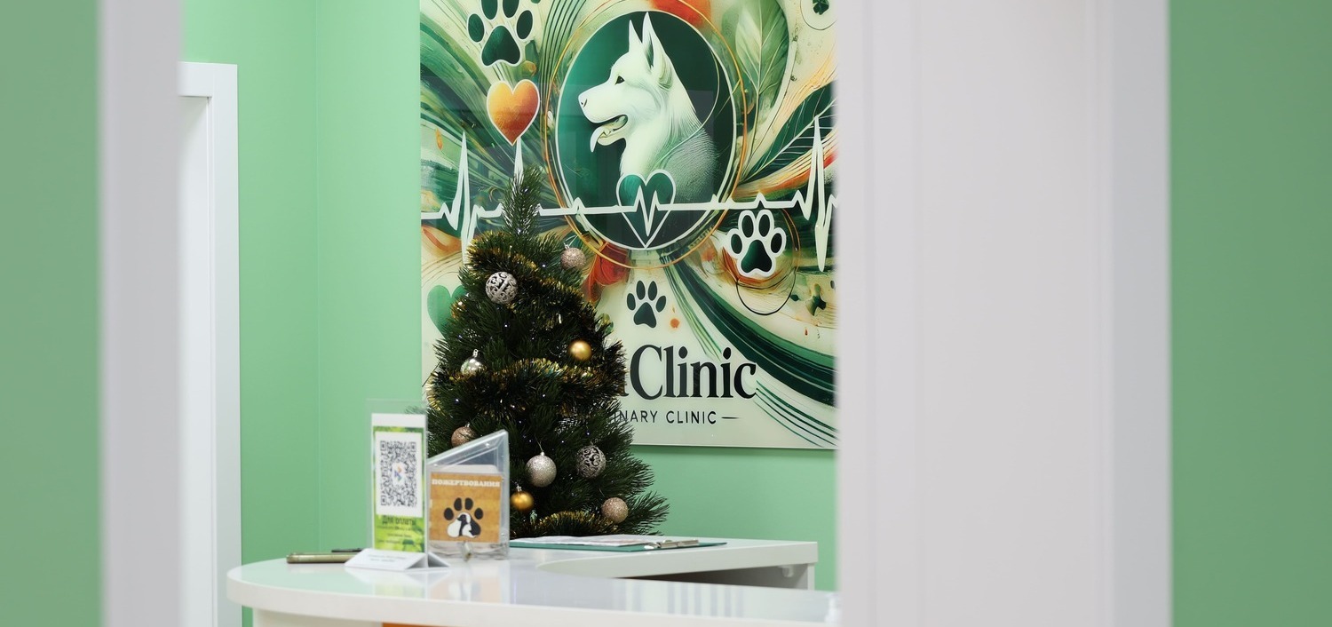 Советы ветеринаров ветеринарной клинике Лапа Помощи Краснодар. Вопросы и ответы