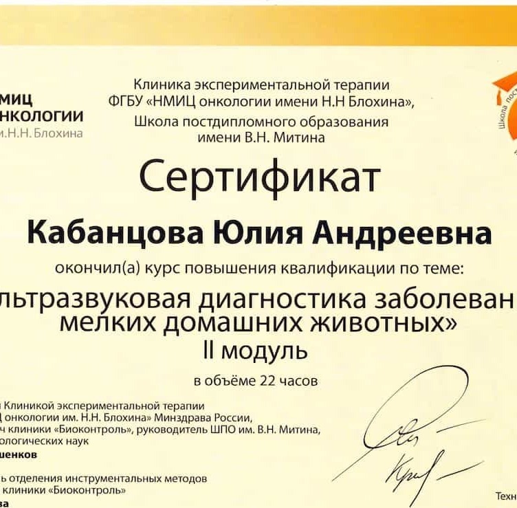 2023 г. - Ультразвуковая диагностика заболеваний мелких домашних животных, II Модуль