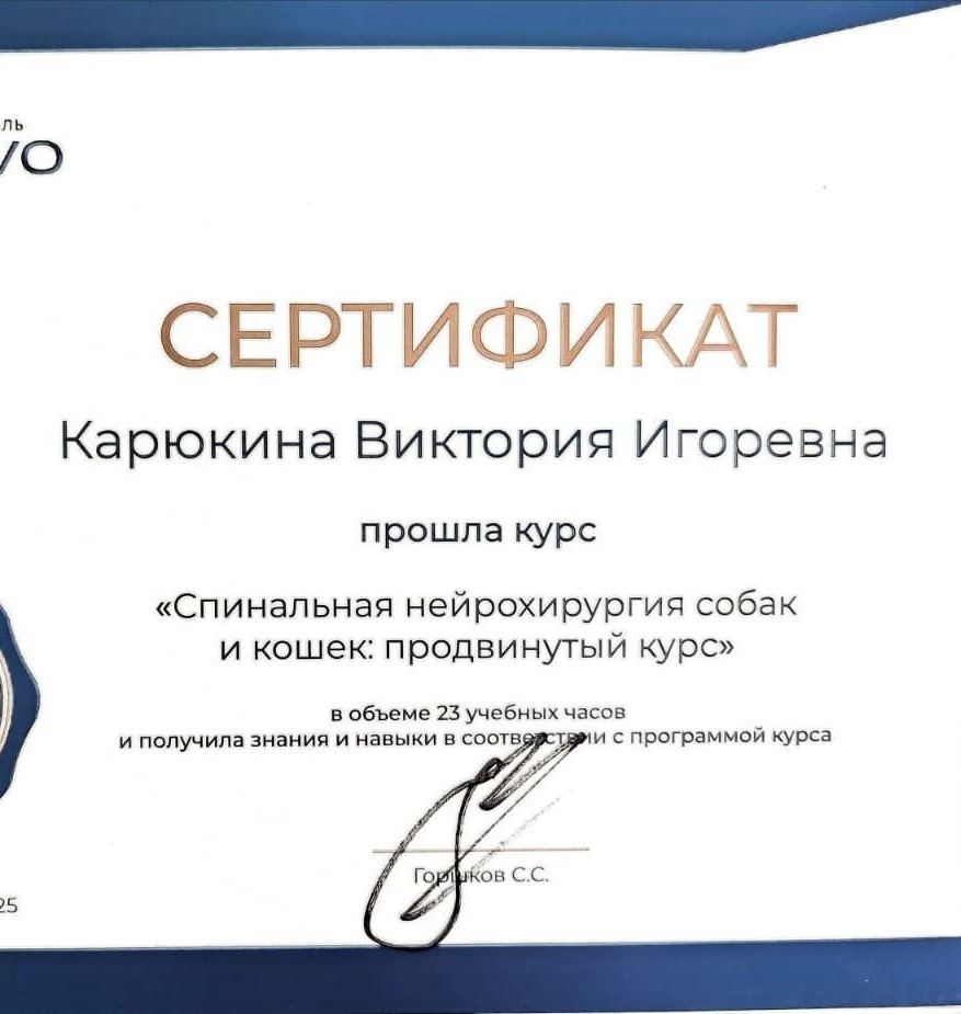 2025 г. - Спинальная нейрохирургия собак и кошек: продвинутый курс, Skolkovo Vet School, Москва.