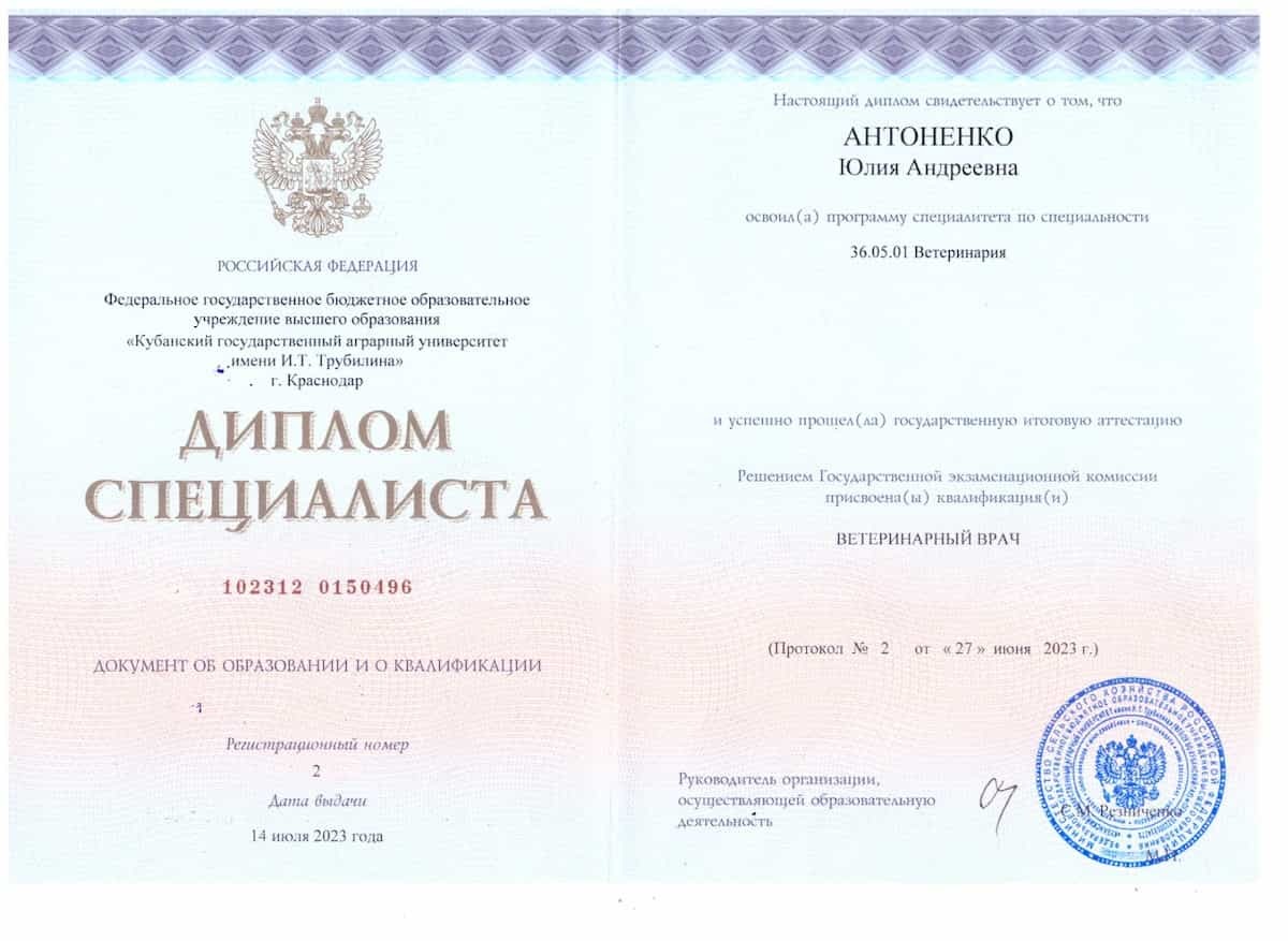 Диплом Плавинской Е.А.