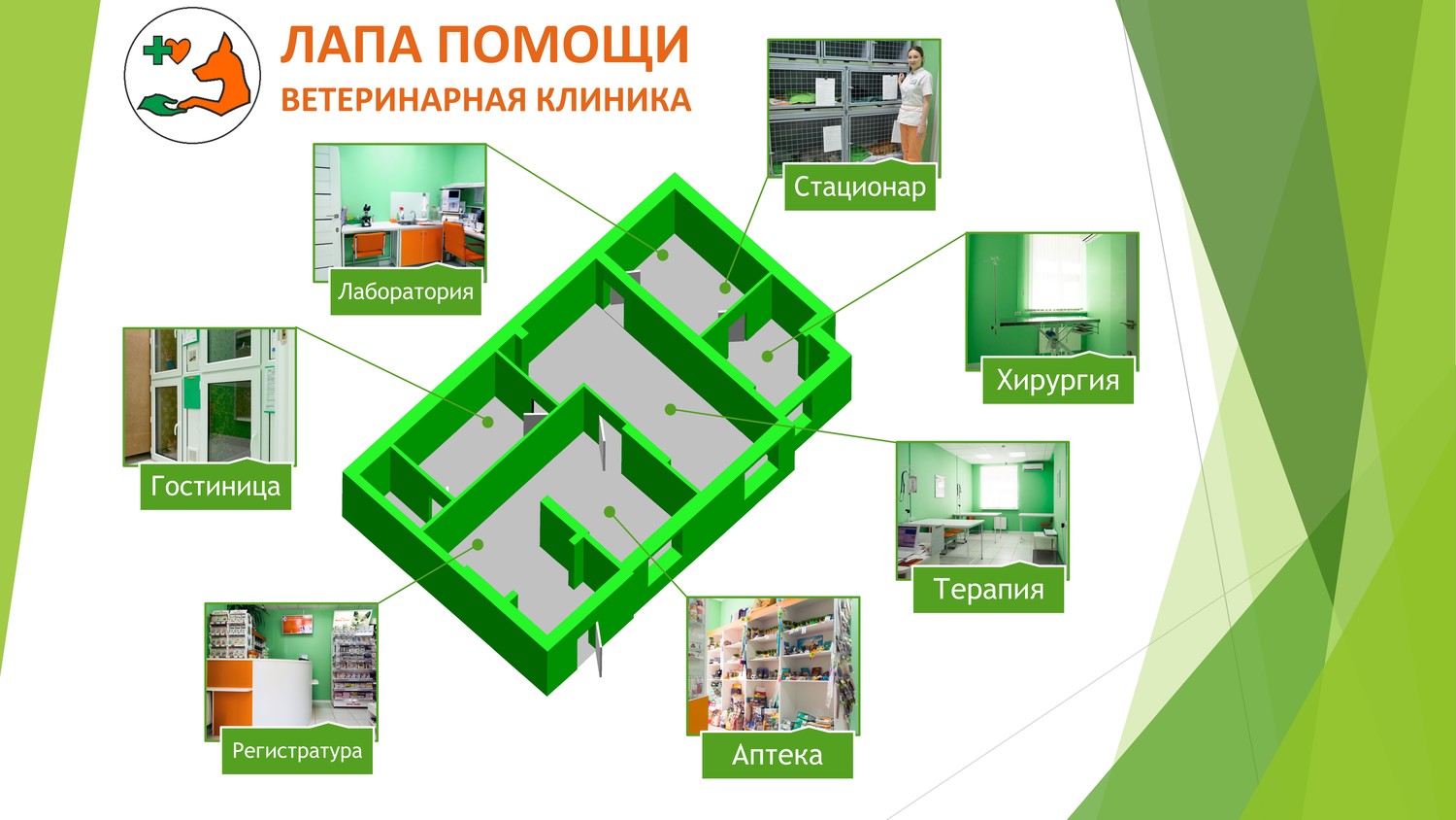 Ветеринарная клиника архитектурный проект