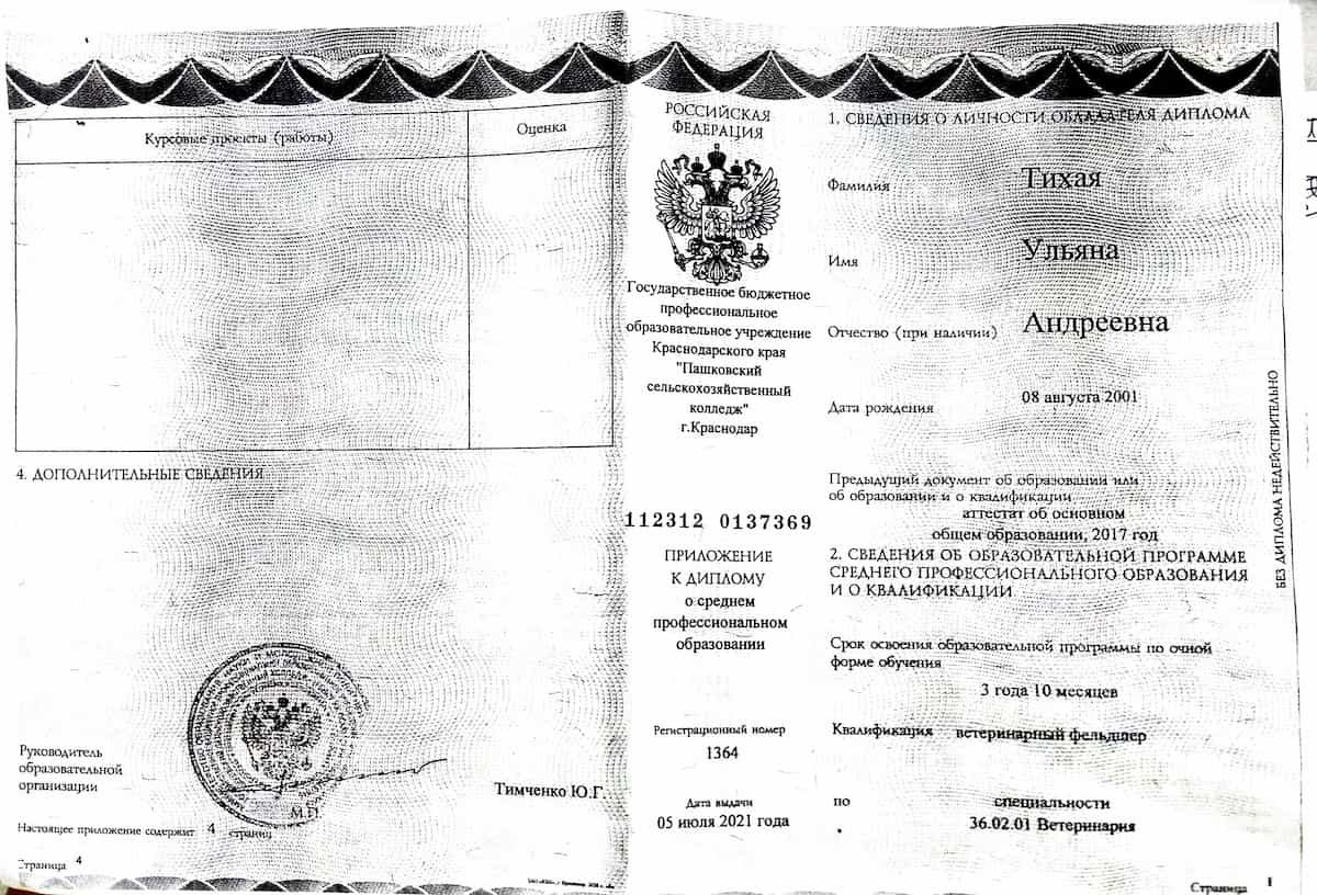 Диплом Плавинской Е.А. Диплом Плавинской Е.А.