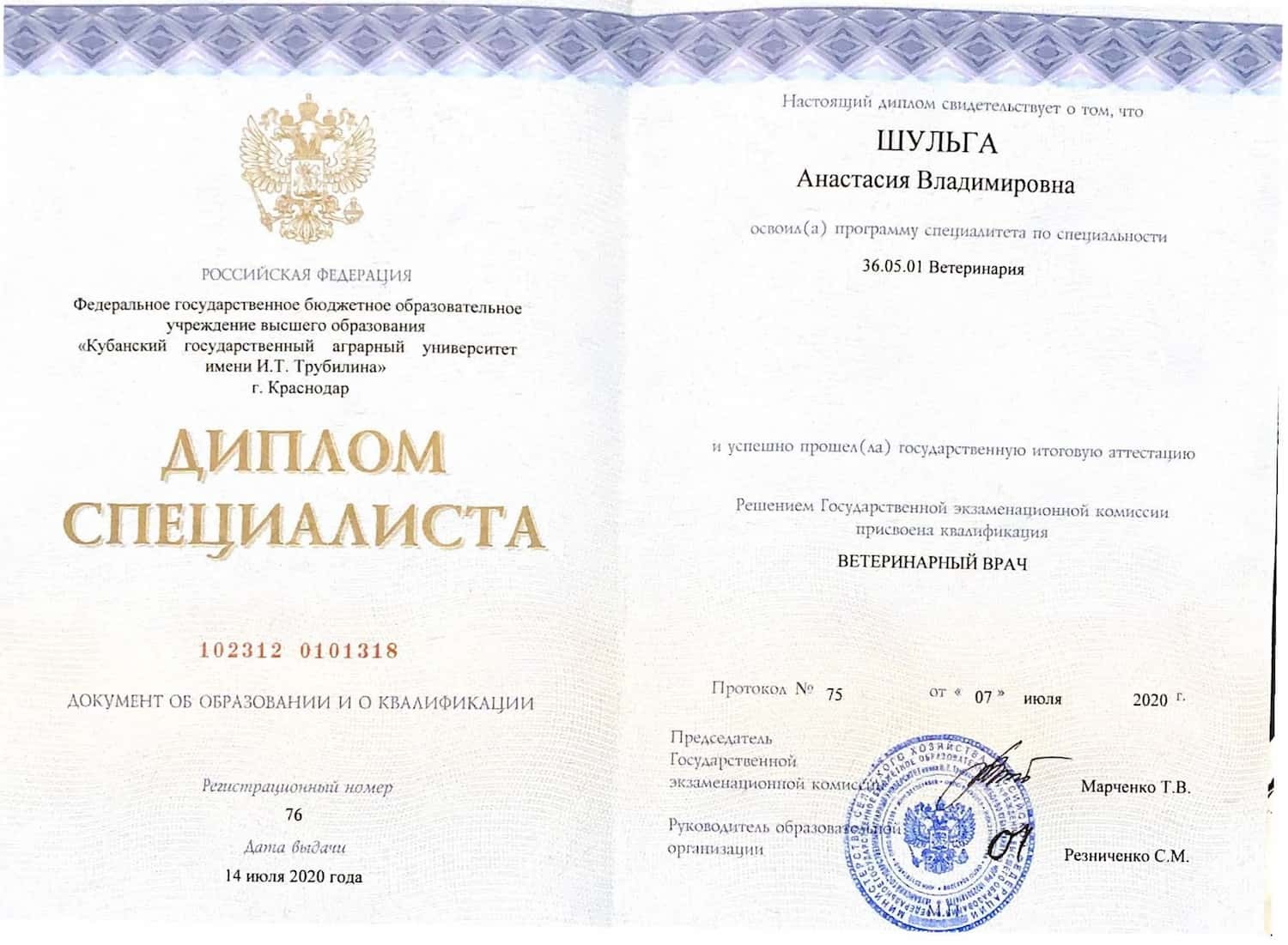 Диплом Шульга А.В. Диплом Шульга А.В.