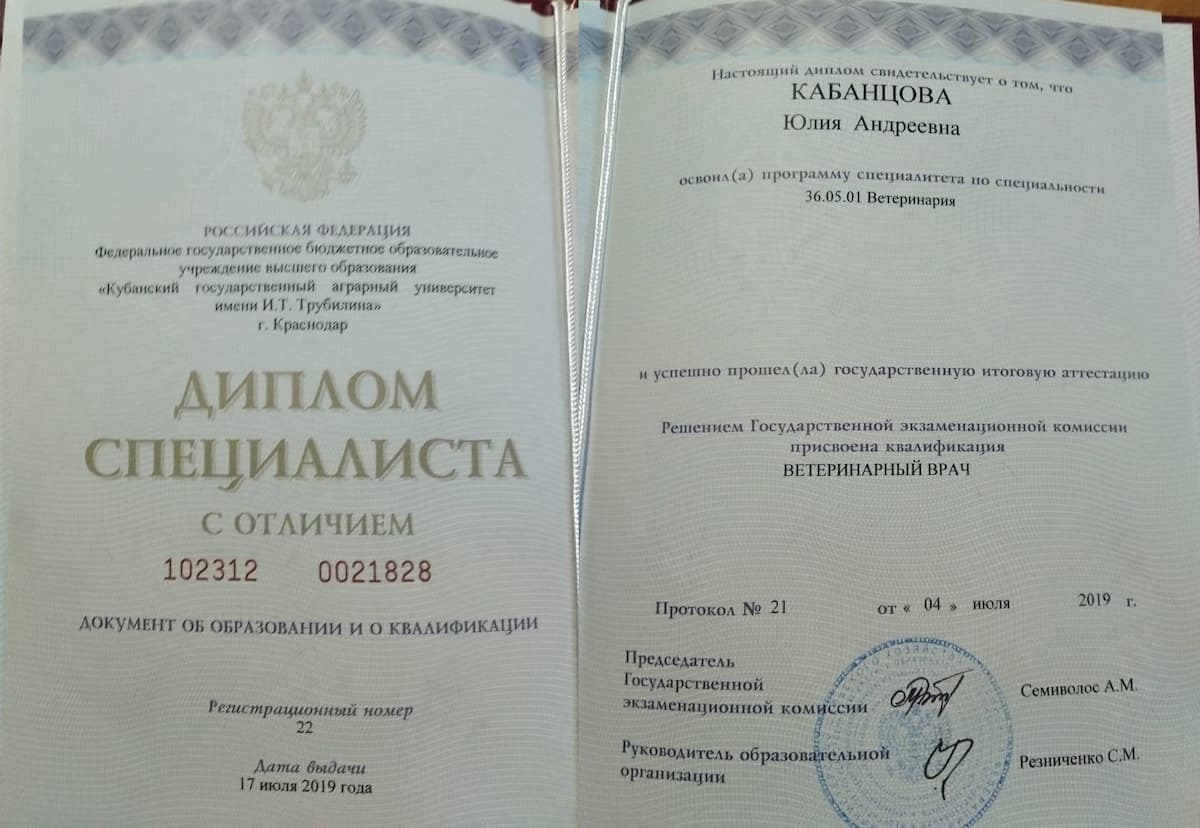 Диплом Жириной А.Д. Диплом Жириной А.Д.